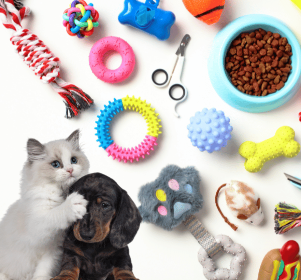 A Guide to Choosing the Right Pet Accessories
