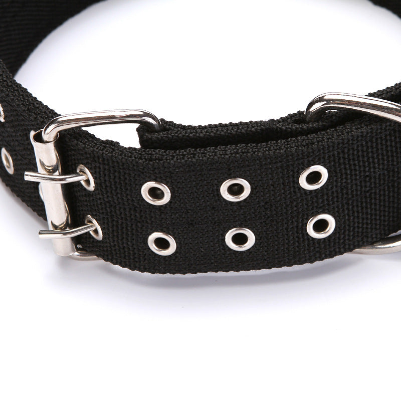 Dog collar