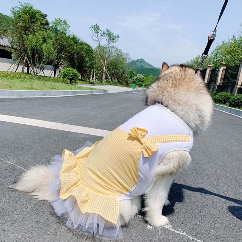 Dog Clothes Princess Dog Costume Labrador Golden Retriever Big Dog Clothes