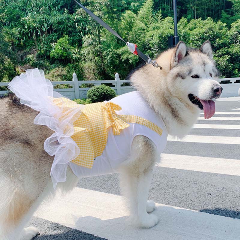 Dog Clothes Princess Dog Costume Labrador Golden Retriever Big Dog Clothes