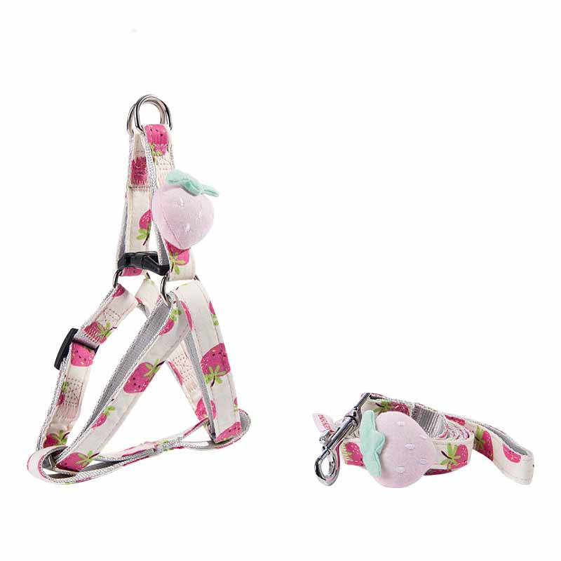 Fruit Printing Outing Dogs Fruit Series Dogs Collars Leash
