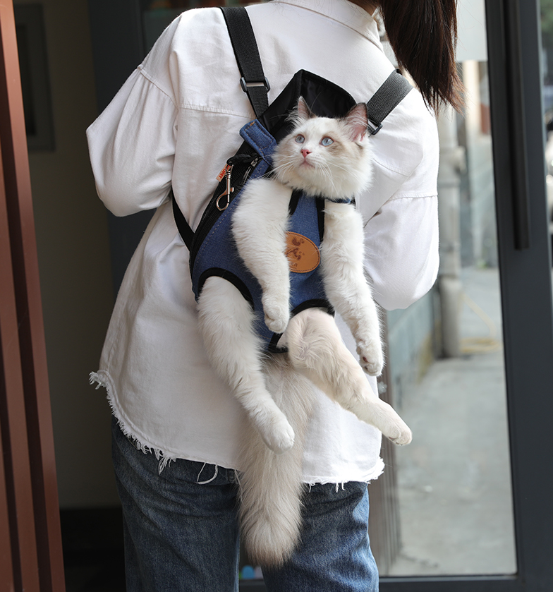 Portable cat backpack for spring outing