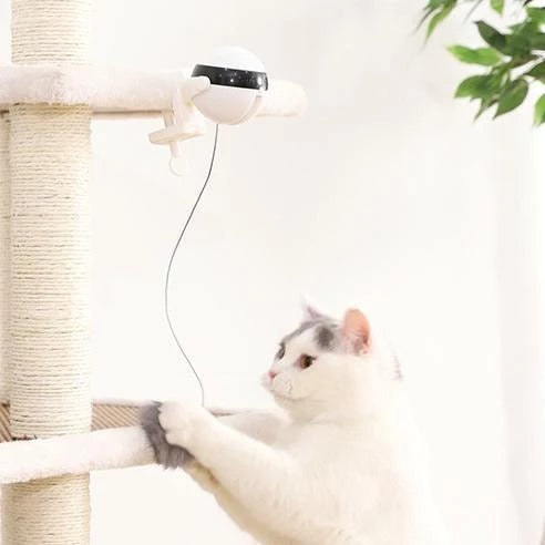 Pet Cat Toy Electronic Motion Cat Toy Interactive