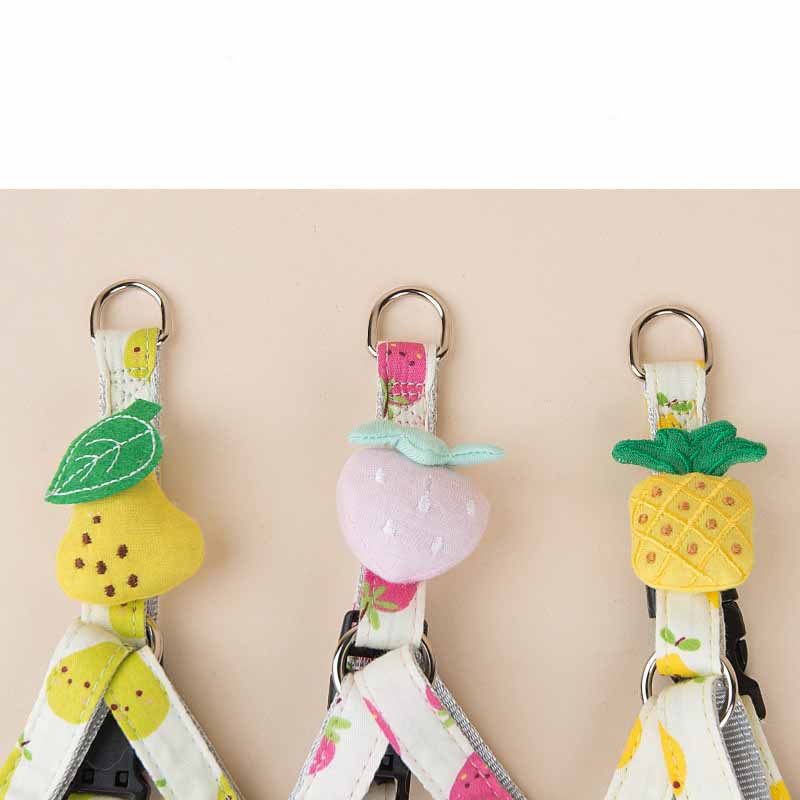 Fruit Printing Outing Dogs Fruit Series Dogs Collars Leash